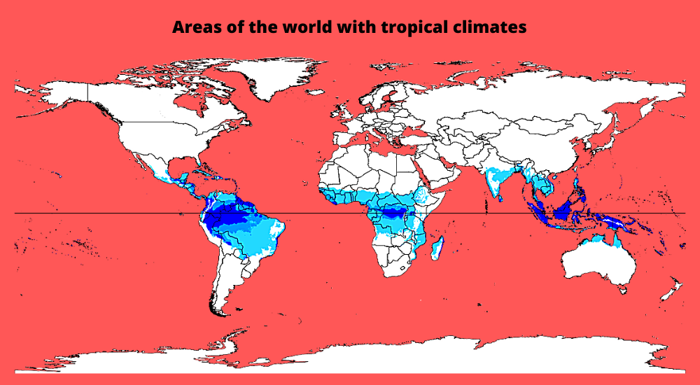 A map showcasing the areas of the world with tropical climates