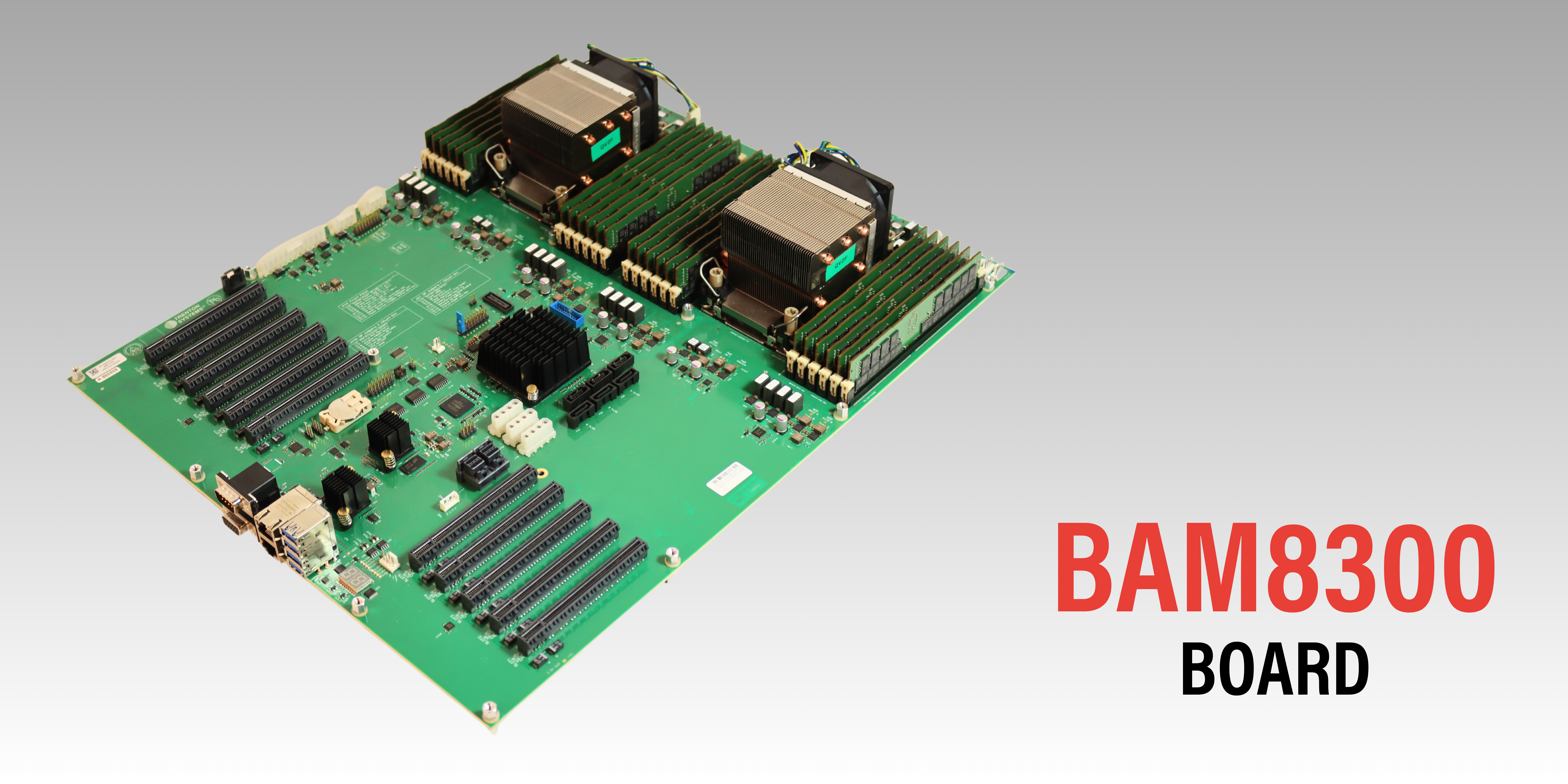 BAM8300 Board