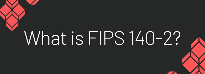 This is a graphic that reads, "What is FIPS 140-2?"