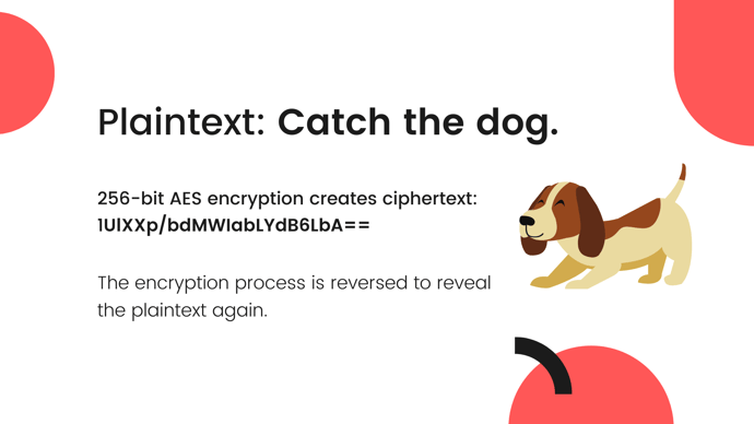 This is a graphic showcasing how AES encryption conceals plaintext data by converting it into ciphertext.